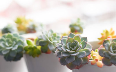 Das ist ein Musterbeitrag