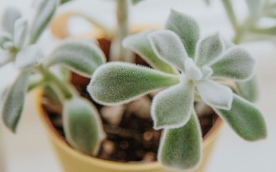 Das ist ein Ratgeber-Beitrag